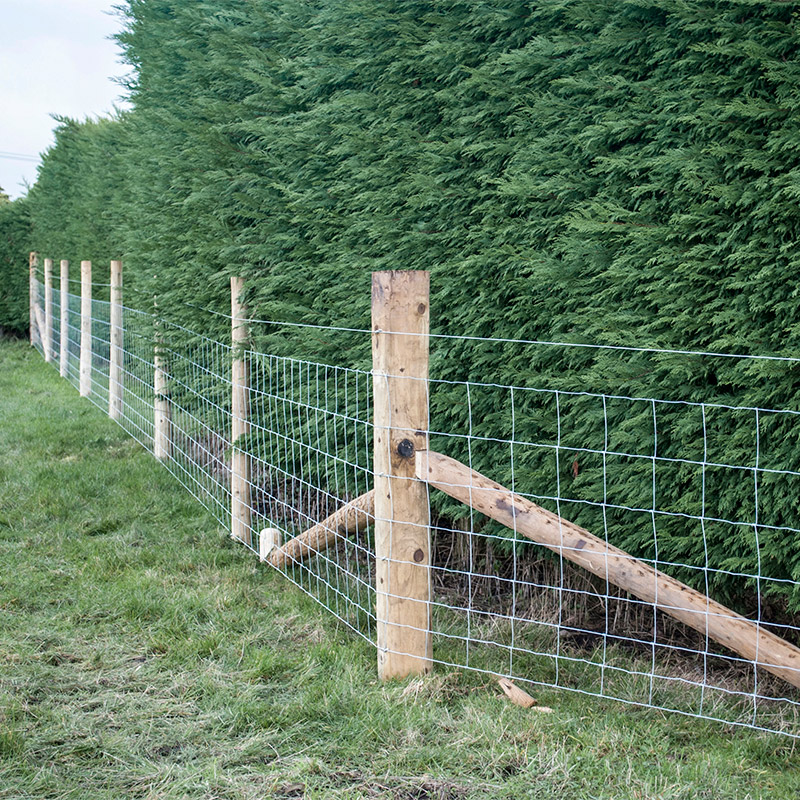 Customized Iron Wire Mesh Fixe - Farming Agriculture avaliação e preço