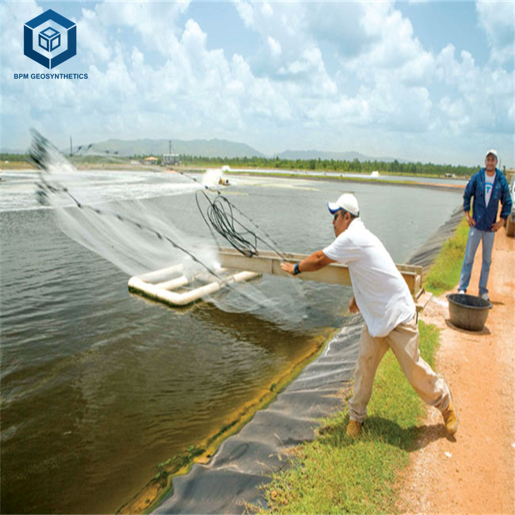 Geomembrane Manufacturers Wate - Farm Pond Liner avaliação e preço
